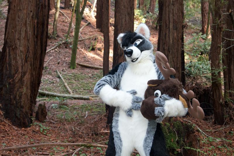 Moose in the Redwoods Unedited 93.jpg