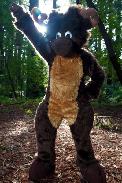 Moose in the Redwoods 1.jpg