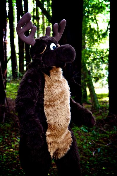 Moose in the Redwoods 11.jpg