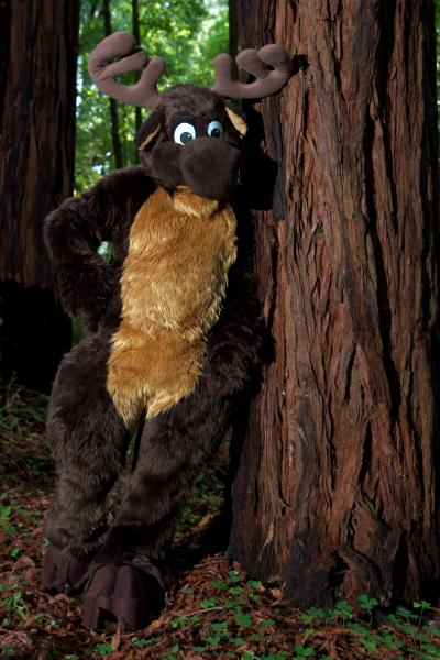 Moose in the Redwoods 6.jpg