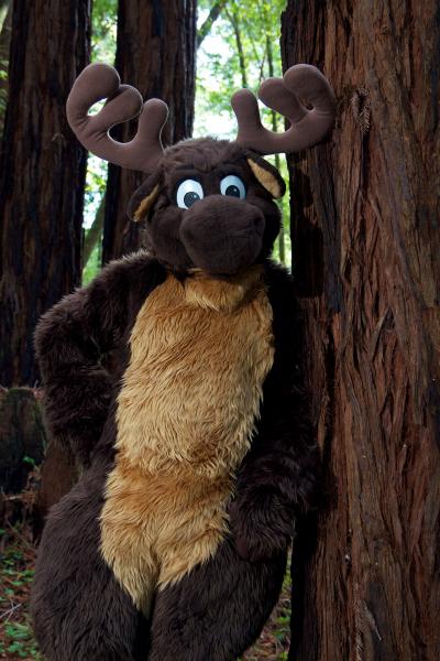 Moose in the Redwoods 7.jpg