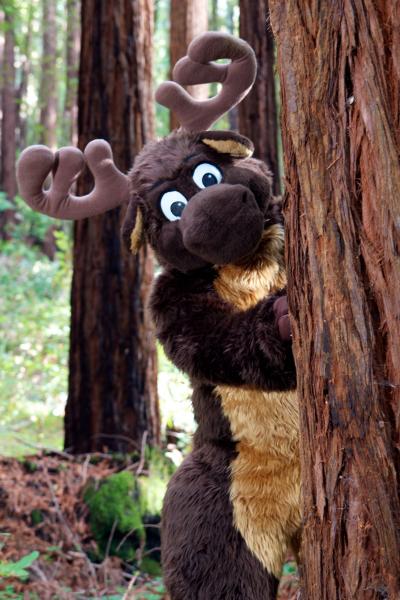 Moose in the Redwoods 8.jpg