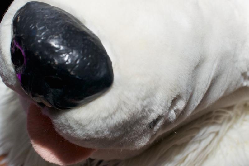 5188343489_a3a28cbb87_o.jpg 5188343489_a3a28cbb87_o.jpg