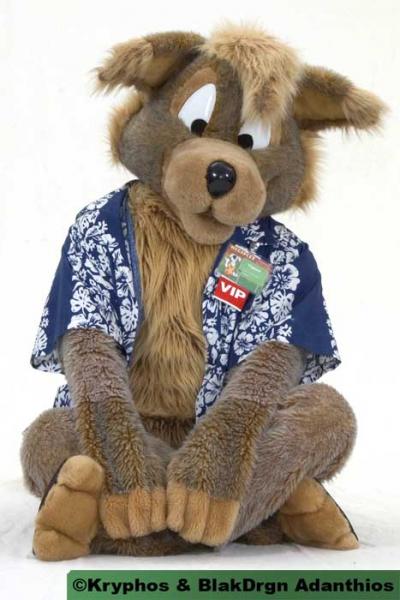 mp050044.jpg mp050044.jpg