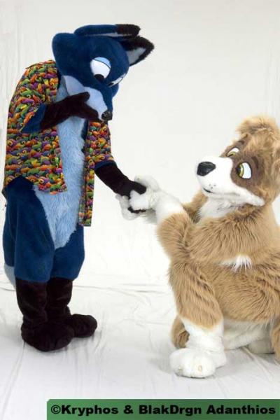 mp050079.jpg mp050079.jpg