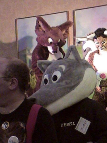 Timduru-T_AC2K074.jpg Timduru-T_AC2K074.jpg