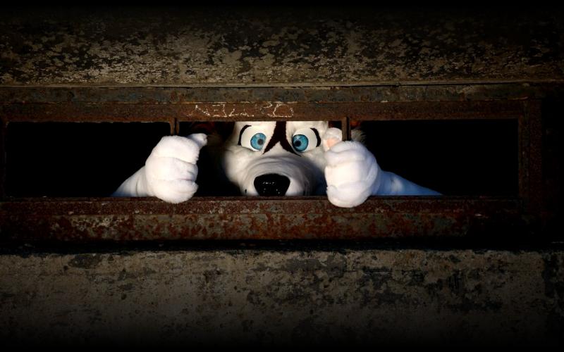 Russ05-2.jpg Russ05-2.jpg