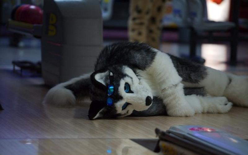 Shortwave-picture-6-BG.jpg Shortwave-picture-6-BG.jpg