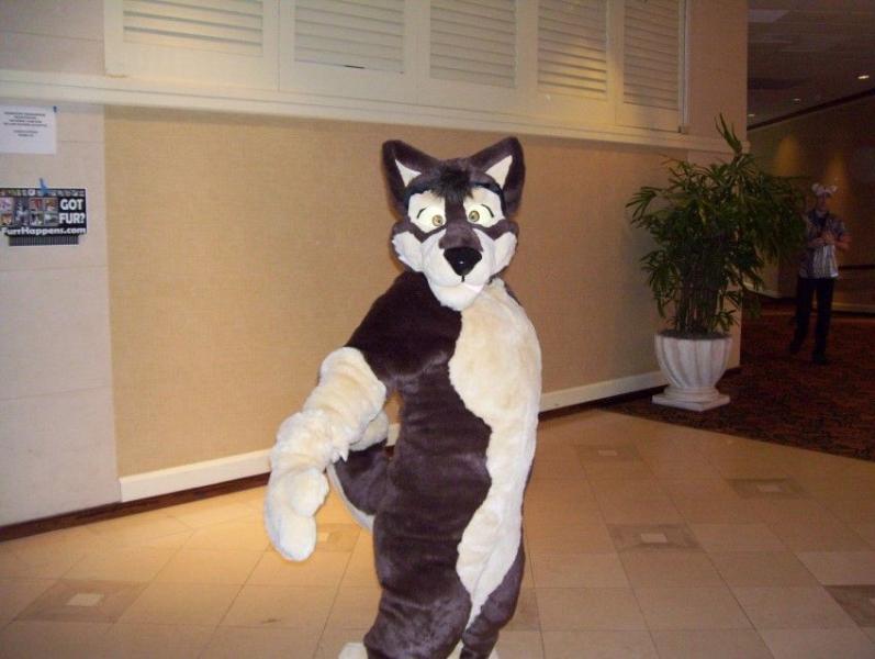 Balto-01.jpg Balto-01.jpg