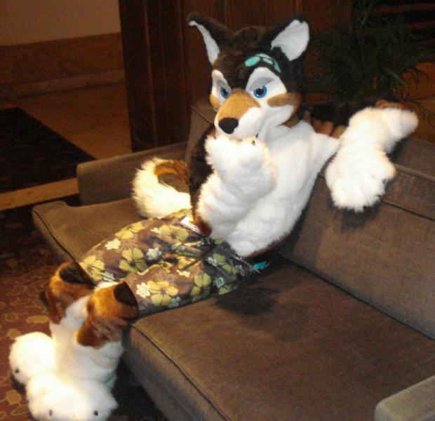 DSC01068.jpg DSC01068.jpg