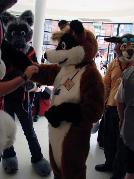 WinterPaw_picture-14.jpg WinterPaw_picture-14.jpg