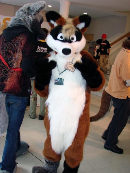 WinterPaw_picture-15.jpg WinterPaw_picture-15.jpg