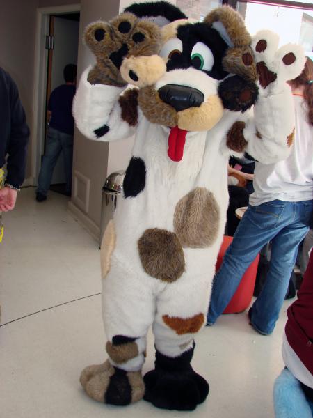 WinterPaw_picture-21.jpg WinterPaw_picture-21.jpg