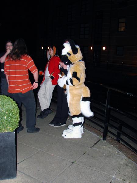 WinterPaw_picture-26.jpg WinterPaw_picture-26.jpg