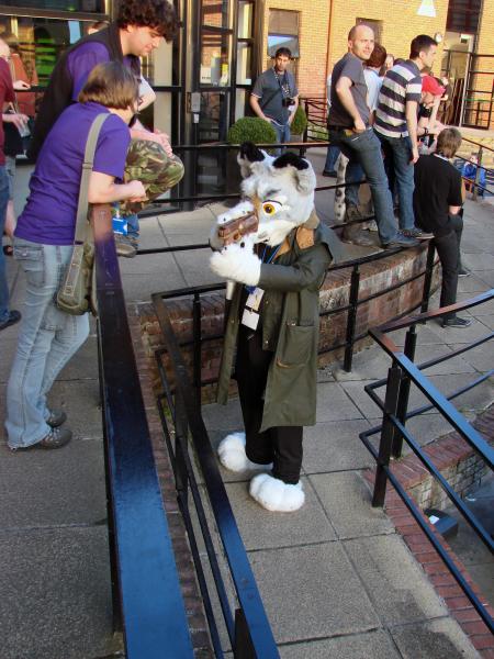 WinterPaw_picture-39.jpg WinterPaw_picture-39.jpg