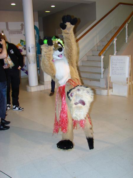 WinterPaw_picture-42.jpg WinterPaw_picture-42.jpg