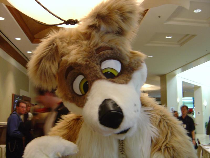 Skooter_FC2004_49.jpg Skooter_FC2004_49.jpg