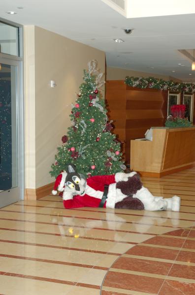 CrossCheck.jpg CrossCheck.jpg