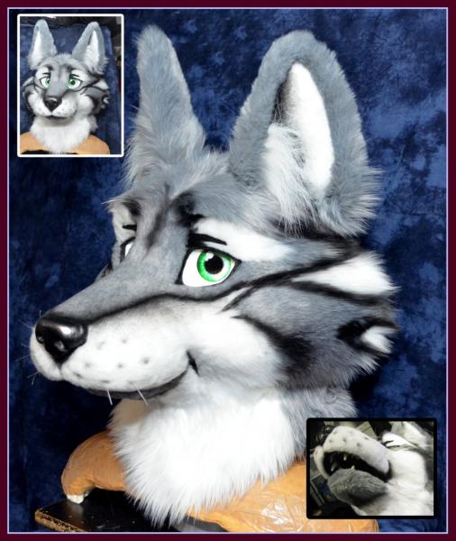 Darcus 01.jpg Darcus 01.jpg