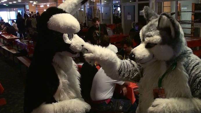 00013sh7.jpg 00013sh7.jpg