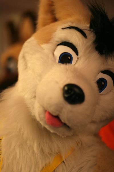 001a86q7.jpg 001a86q7.jpg