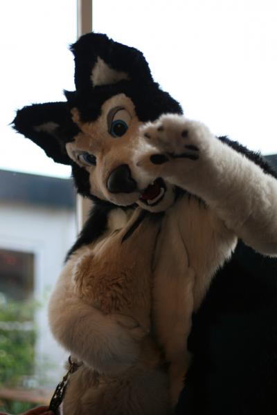 001astsb.jpg 001astsb.jpg