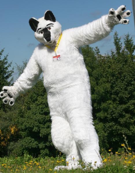 001b6rtz.jpg 001b6rtz.jpg