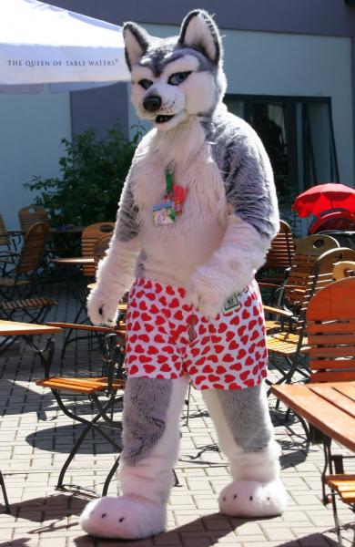 001c7dsy.jpg 001c7dsy.jpg