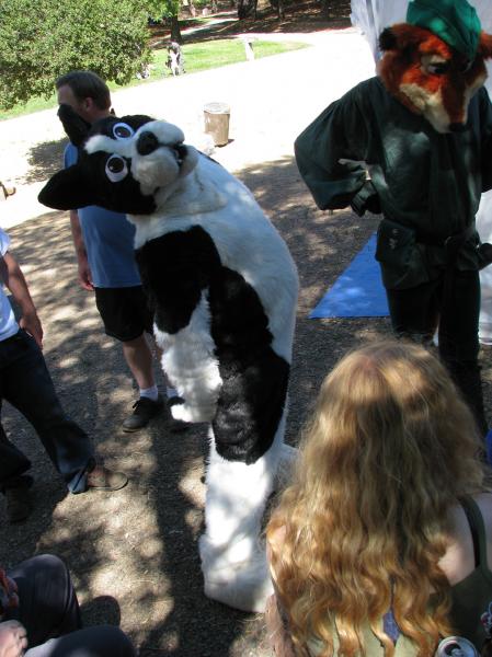 Fenway_FC08Picnic.jpg Fenway_FC08Picnic.jpg