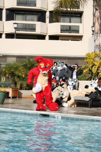 FooeyPool1.jpg FooeyPool1.jpg