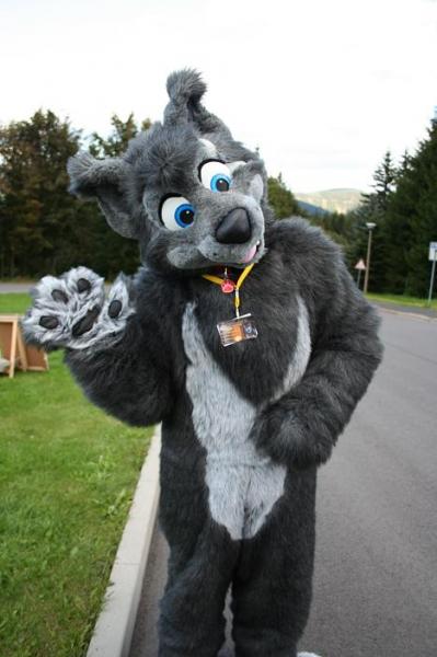 Greyshay-03.jpg Greyshay-03.jpg