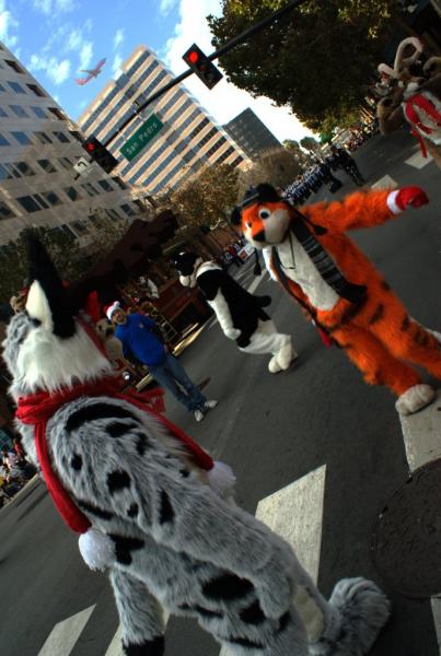 DSC00624.jpg DSC00624.jpg