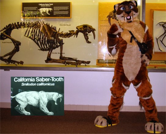 Internetreadyintropicture.jpg Internetreadyintropicture.jpg