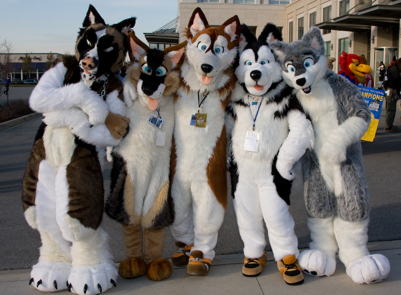 0003bfqx.jpg 0003bfqx.jpg