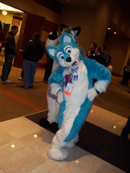 100_1390.jpg 100_1390.jpg