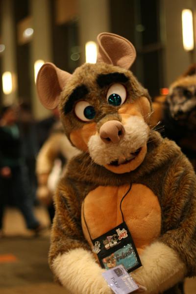 001fwqgq.jpg 001fwqgq.jpg