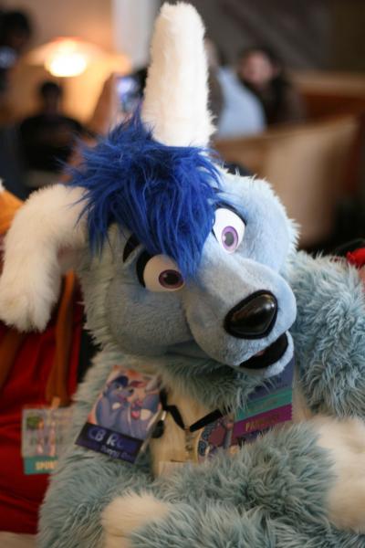 001g3a5b.jpg 001g3a5b.jpg