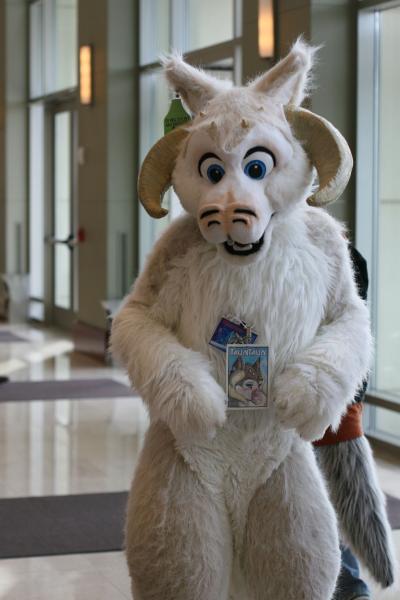 001gfyzx.jpg 001gfyzx.jpg