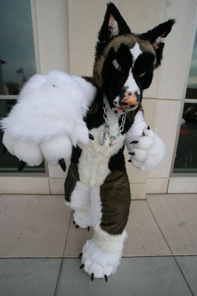 001k6r5f.jpg 001k6r5f.jpg