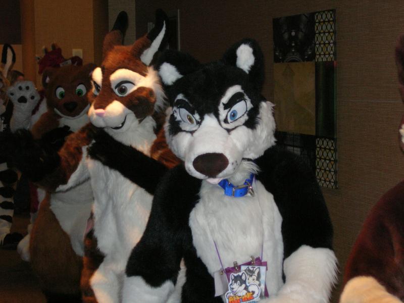 3056819127_f4a4f779fb_b.jpg 3056819127_f4a4f779fb_b.jpg