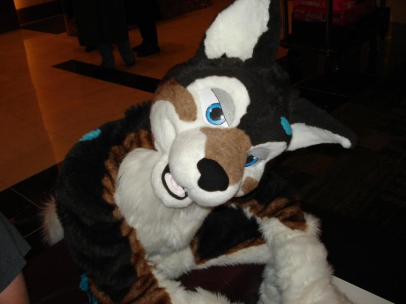 DSC09489.jpg DSC09489.jpg