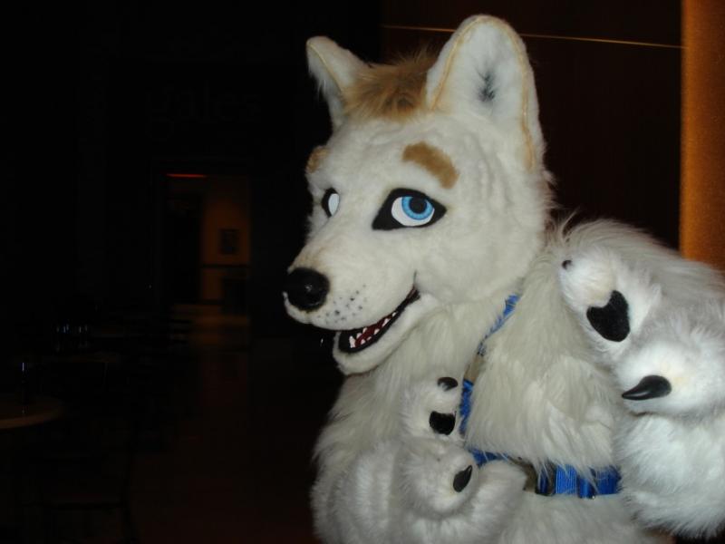 DSC09533.jpg DSC09533.jpg