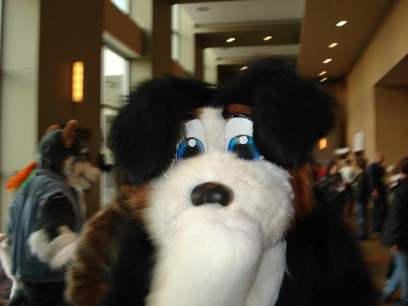 DSC09615.jpg DSC09615.jpg