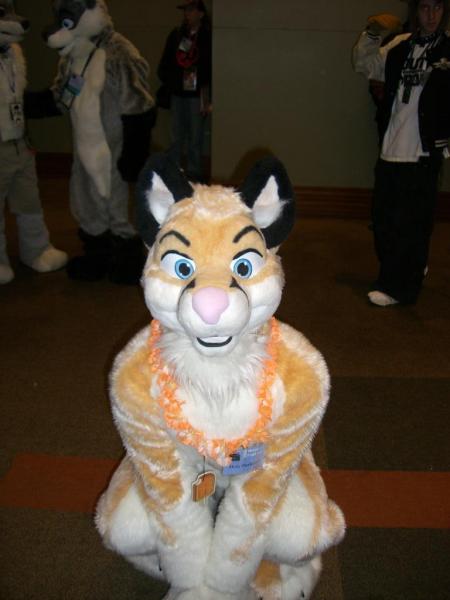 CIMG0629.jpg CIMG0629.jpg