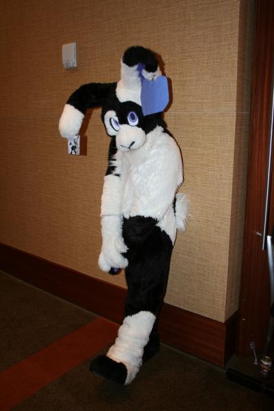 3054450184_0af852d1d7_b.jpg 3054450184_0af852d1d7_b.jpg