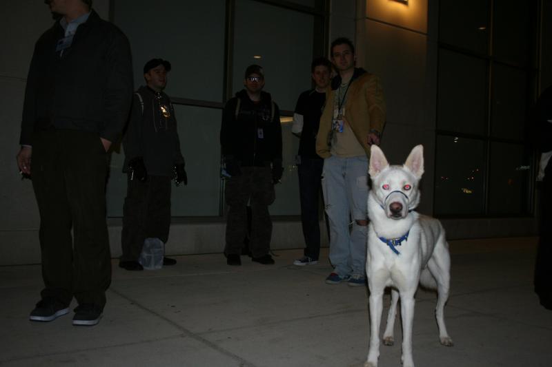 3054800214_c31ce89eb2_b.jpg 3054800214_c31ce89eb2_b.jpg