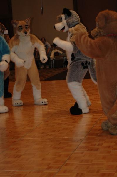 mff2008_onyx-snowfoot_032.jpg