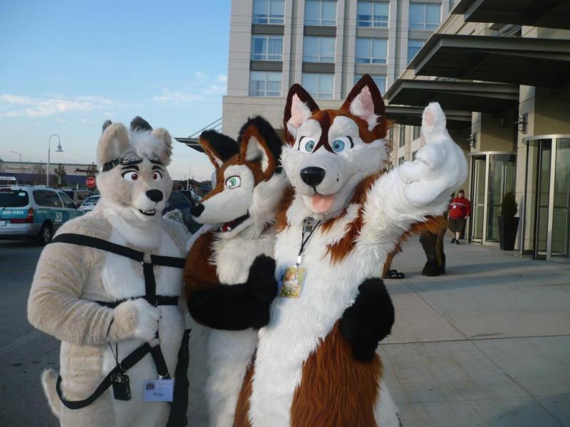 P2710952.jpg P2710952.jpg