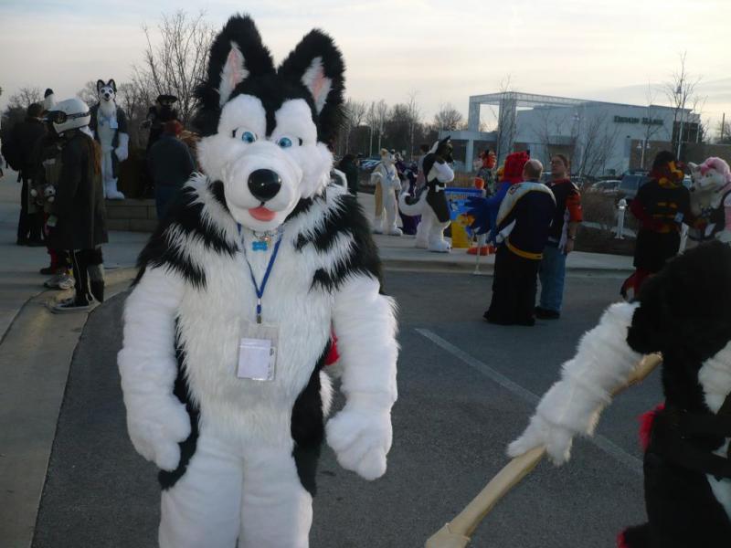 P2710960.jpg P2710960.jpg