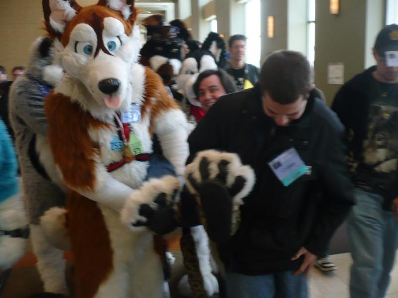 P2730075.jpg P2730075.jpg